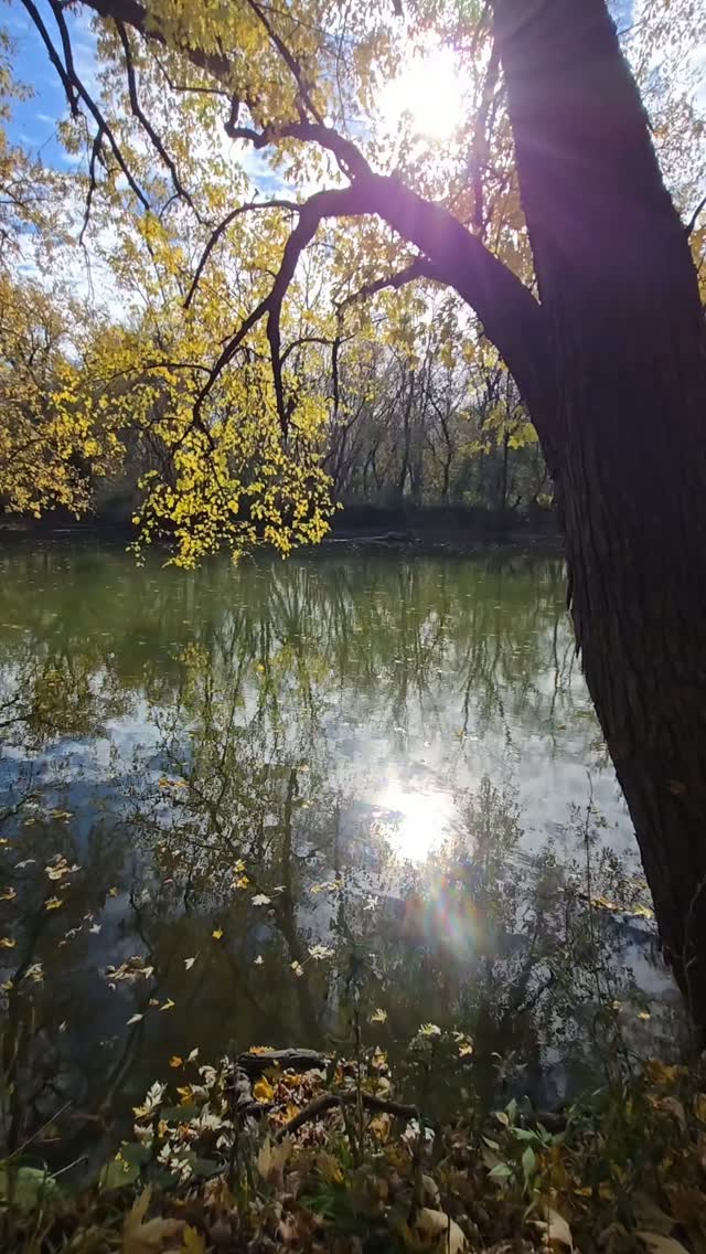 Enjoying a spectacular day

#nature #naturewalk #gardenbitewithteriknight #naturelover💚